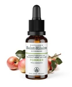 Pommier (Malus communis) bourgeon BIO BIO, 30 ml